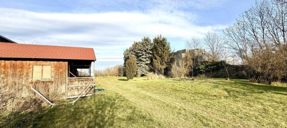 6 rooms House in Andlersdorf, Austria No. 156300 11