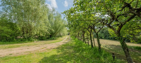 8 bedrooms House in Azay-le-Rideau, France No. 79129 26