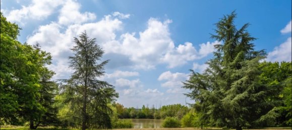 8 bedrooms House in Azay-le-Rideau, France No. 79129 27