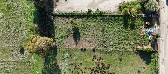 1263m² Land in Palagonia, Italy No. 232426 4