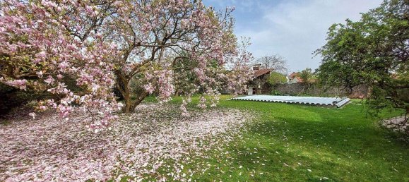 8-Zimmer Villa in Traun, Austria, Nr. 220330 25