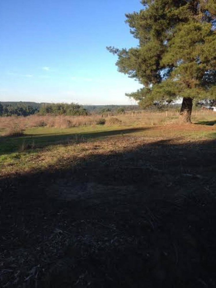  Land in Biobio, Chile No. 903