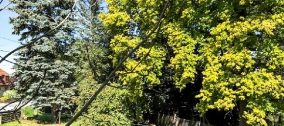 8-salle Maison de ville à Bautzen, Germany No. 296955 18