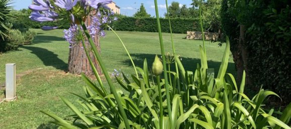 Villa de 13 habitaciónes en Cascina, Italy No. 209368 24