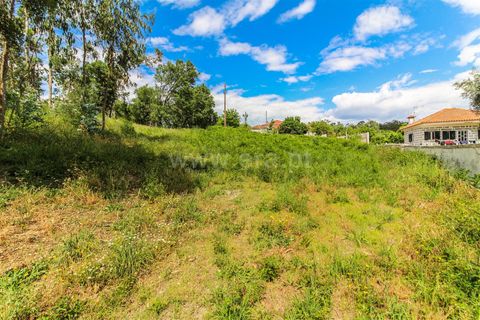 Grundstück in Barcelos, Portugal, Nr. 202267