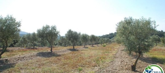 Terreno em Garriguella, Spain 400 m² N.º 73577 7