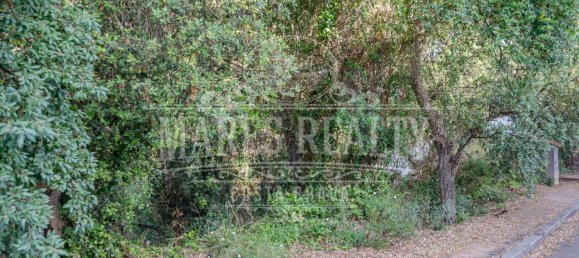 Terreno en Tossa de Mar, Spain 456 m² No. 11287 3