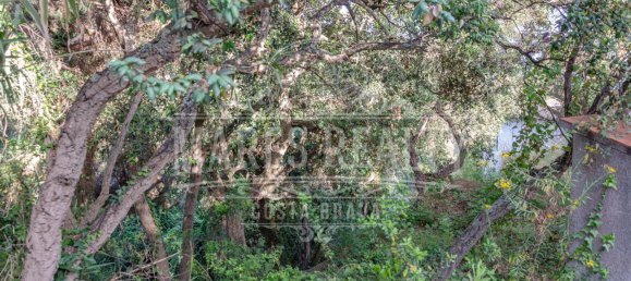 Terreno en Tossa de Mar, Spain 456 m² No. 11287 6