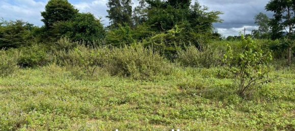  Commercial property in Pran Buri, Thailand No. 16912 5