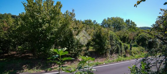 1 bedroom Land in Vitorchiano, Italy No. 380991 9