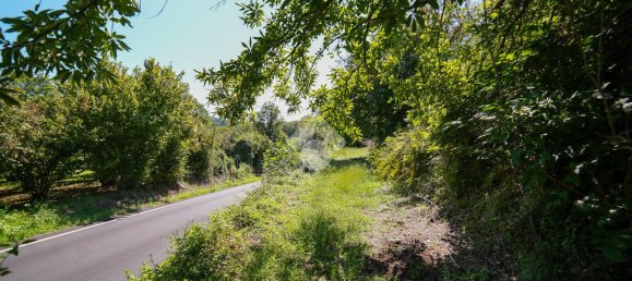 1 bedroom Land in Vitorchiano, Italy No. 380991 5