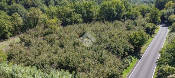 1 bedroom Land in Vitorchiano, Italy No. 380991 2