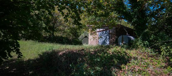 1 bedroom Land in Vitorchiano, Italy No. 380991 6