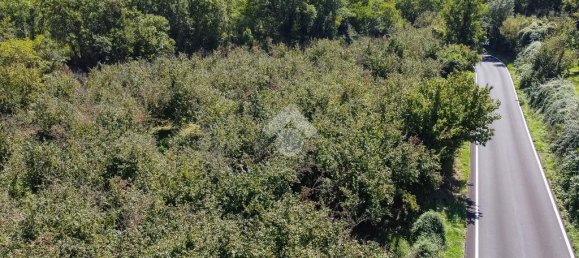 1 bedroom Land in Vitorchiano, Italy No. 380991 10