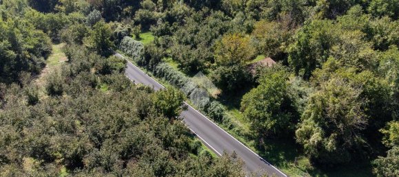 1 bedroom Land in Vitorchiano, Italy No. 380991 3