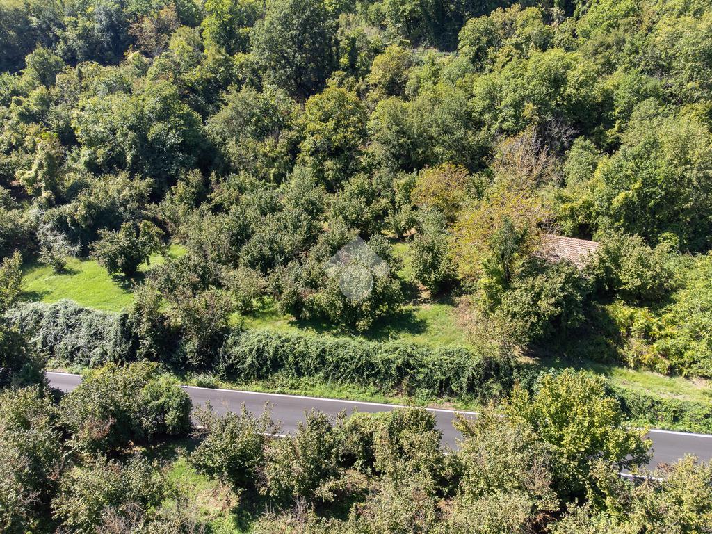 1 bedroom Land in Vitorchiano, Italy No. 380991