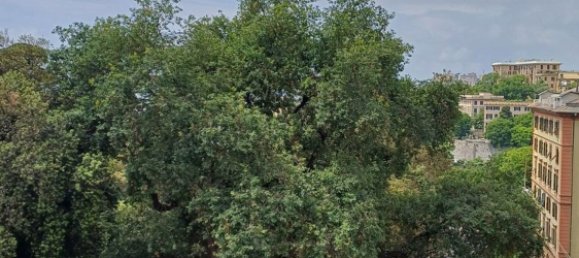 Apartamento de 9 dormitorios en Genoa, Italy No. 376394 20