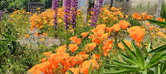 6 Schlafzimmer Stadthaus in Neuwied, Germany, Nr. 24591 10