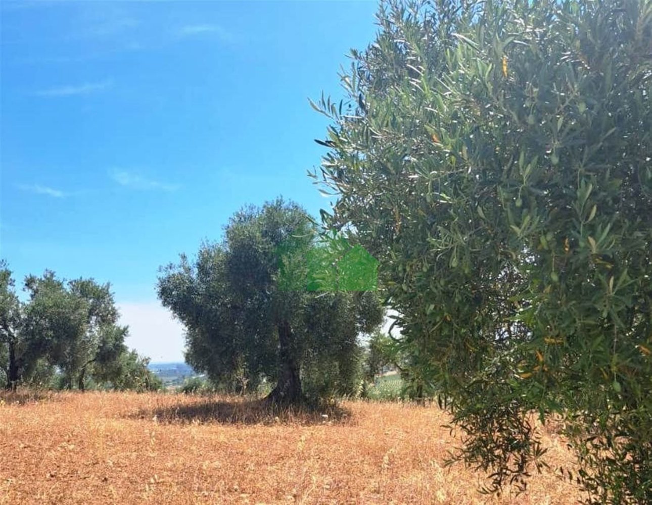 Grundstück in Lobon, Spain 110487m², Nr. 106985