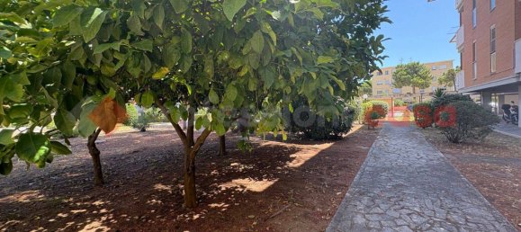 1 bedroom Apartment in Terracina, Italy No. 319524 37