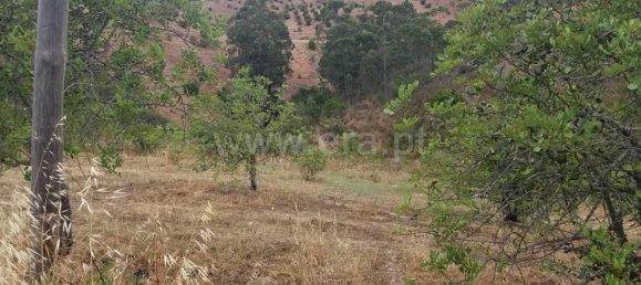  Land in Alte, Portugal No. 39302 4