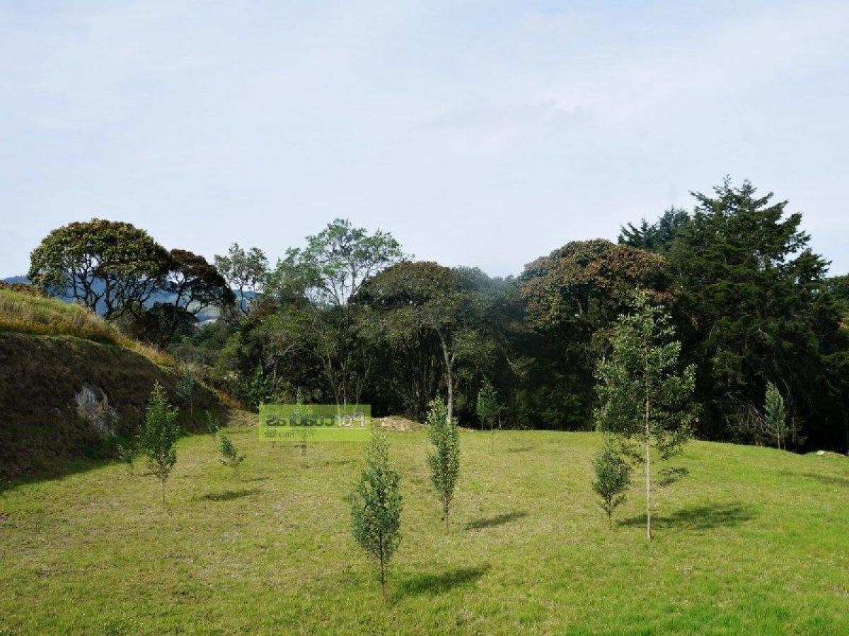  Land in Antioquia, Colombia No. 674