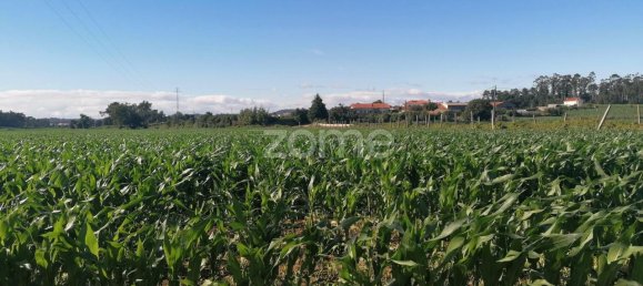 3300m² Land in Vila Nova de Famalicao, Portugal No. 34363 10