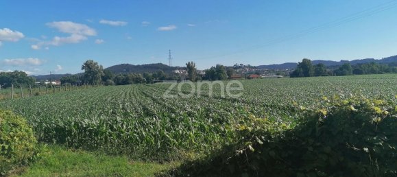 3300m² Land in Vila Nova de Famalicao, Portugal No. 34363 6