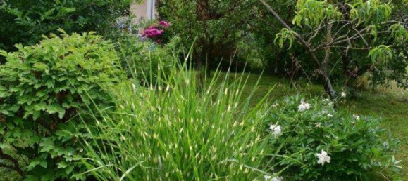 3 rooms Land in Ottakring, Austria No. 218131 12