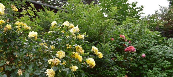 3 rooms Land in Ottakring, Austria No. 218131 6