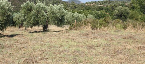 4077m² Hotel in Chalkidiki, Greece No. 8114 3