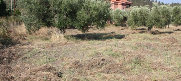 4077m² Hotel in Chalkidiki, Greece No. 8114 2