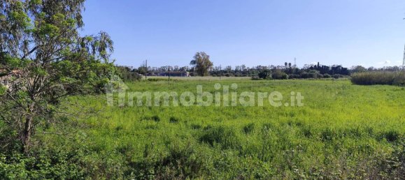 5 Schlafzimmer Haus in Syracuse, Italy, Nr. 245964 31