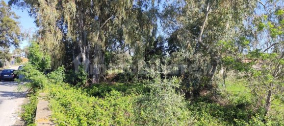 5 Schlafzimmer Haus in Syracuse, Italy, Nr. 245964 29