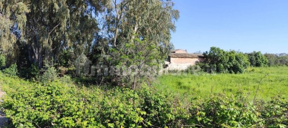 5 Schlafzimmer Haus in Syracuse, Italy, Nr. 245964 23