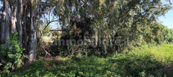 5 Schlafzimmer Haus in Syracuse, Italy, Nr. 245964 19