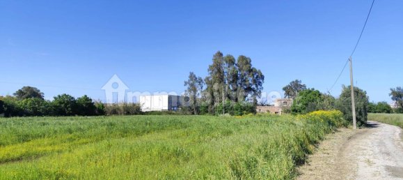 5 Schlafzimmer Haus in Syracuse, Italy, Nr. 245964 2