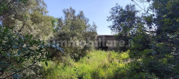 5 Schlafzimmer Haus in Syracuse, Italy, Nr. 245964 16