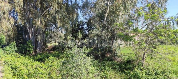 5 Schlafzimmer Haus in Syracuse, Italy, Nr. 245964 30