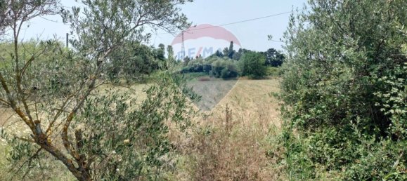 5 Schlafzimmer Haus in Syracuse, Italy, Nr. 245964 14