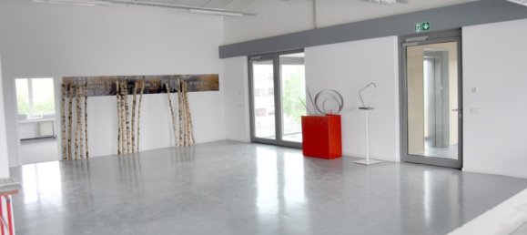 Imóvel comercial em Baden-Wurttemberg, Germany 5727 m² N.º 62990 11