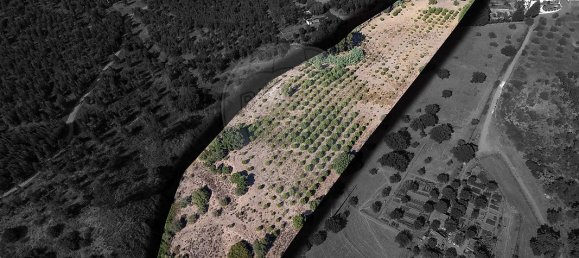 4 bedrooms House in Tramagal, Portugal No. 30233 11