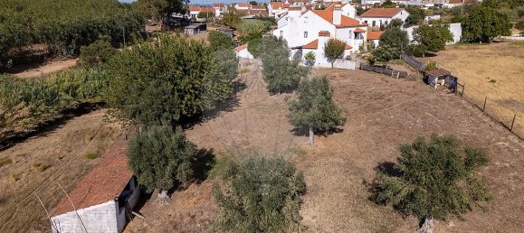 4 bedrooms House in Tramagal, Portugal No. 30233 17