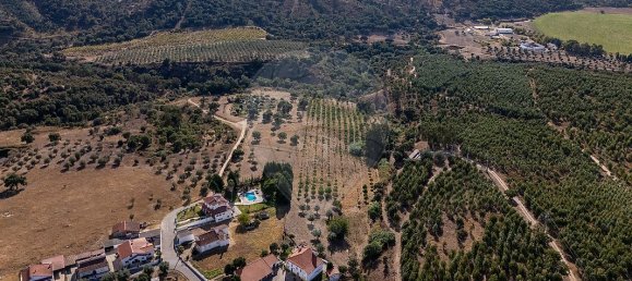 4 bedrooms House in Tramagal, Portugal No. 30233 14