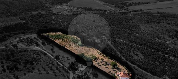 4 bedrooms House in Tramagal, Portugal No. 30233 13