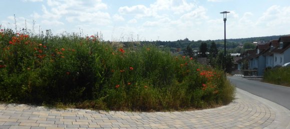  قطعة أرض في Kitzingen, Germany رقم 75865 5