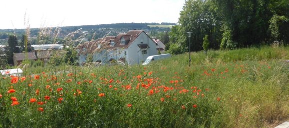  قطعة أرض في Kitzingen, Germany رقم 75865 3