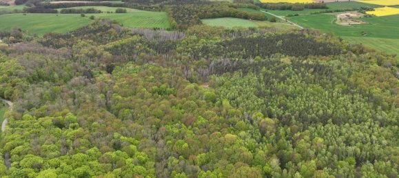 Grundstück in Saale-Holzland, Germany, Nr. 134874 2