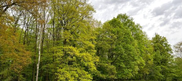 Grundstück in Saale-Holzland, Germany, Nr. 134874 10