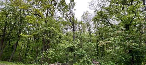 Grundstück in Saale-Holzland, Germany, Nr. 134874 6